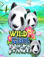 โจ๊ก เกอร์ เกม ไหน แตก ดี: สูตรทำเงินจาก Spade Gaming